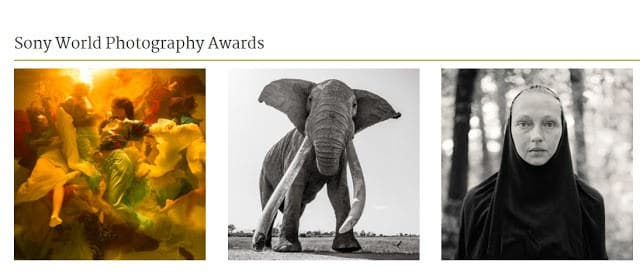 ประกาศรายชื่อคณะกรรมการตัดสินการประกวด Sony World Photography Awards 2019 103