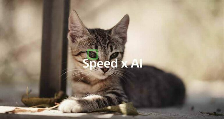 ทาสแมวถูกใจ Sony a6400 เฟิร์มแวร์ใหม่ รองรับ Eye-AF ดวงตาสัตว์ 7