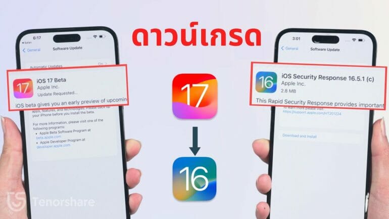 ดาวน์เกรด iOS 17 กลับไปยัง iOS 16 โดยใช้ Tenorshare ReiBoot หรือ iTunes: การเปรียบเทียบวิธีดาวน์เกรดและเลือกช่องทางที่เหมาะสม  7